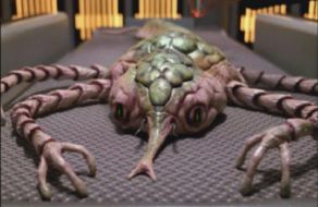 292px-cytoplasmic_lifeform.jpg