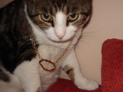gooberisgangsta.jpg