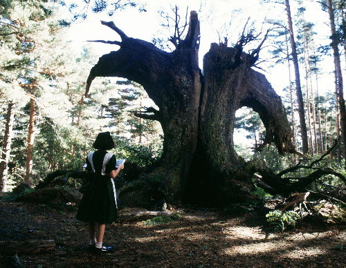 panslabyrinth01 panslabyrinth01