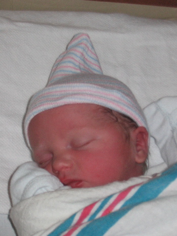 phoebe-small.jpg